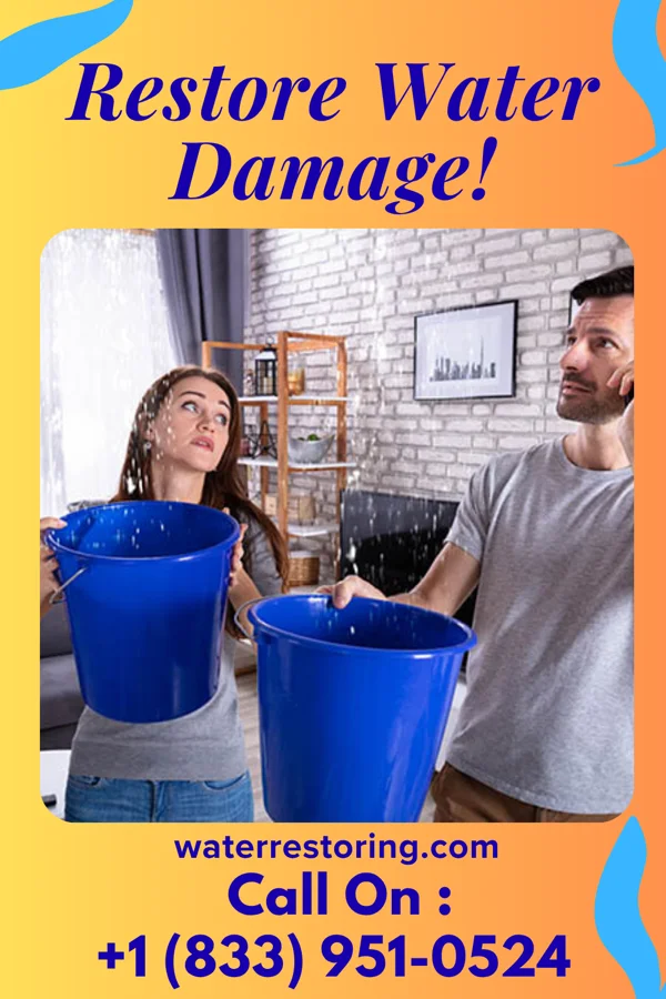 water restoration New Damage Restoration North Brooksville