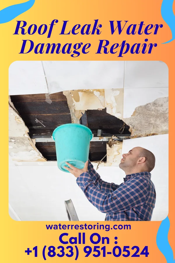 Roof Leak Water Damage Repair in North Brooksville, FL